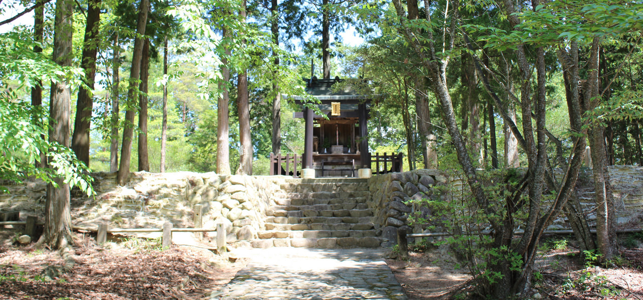歴史